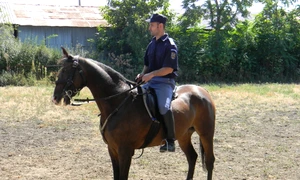 Jandarmeria de Cavalerie şi huliganii jpeg