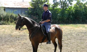 Jandarmeria de Cavalerie şi huliganii jpeg