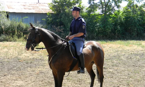 Jandarmeria de Cavalerie şi huliganii jpeg