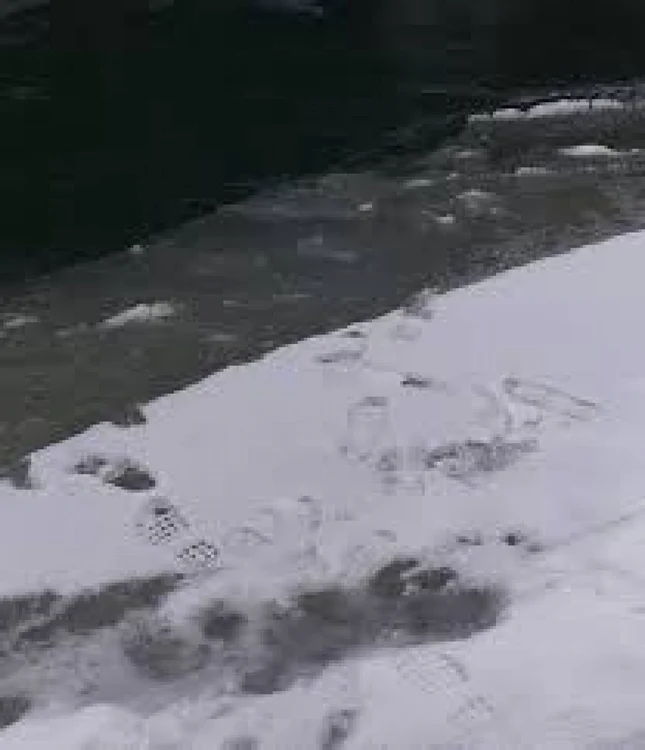 Locul în care cei doi fraţi au căzut în apele Bistriţei FOTO ISU Neamţ