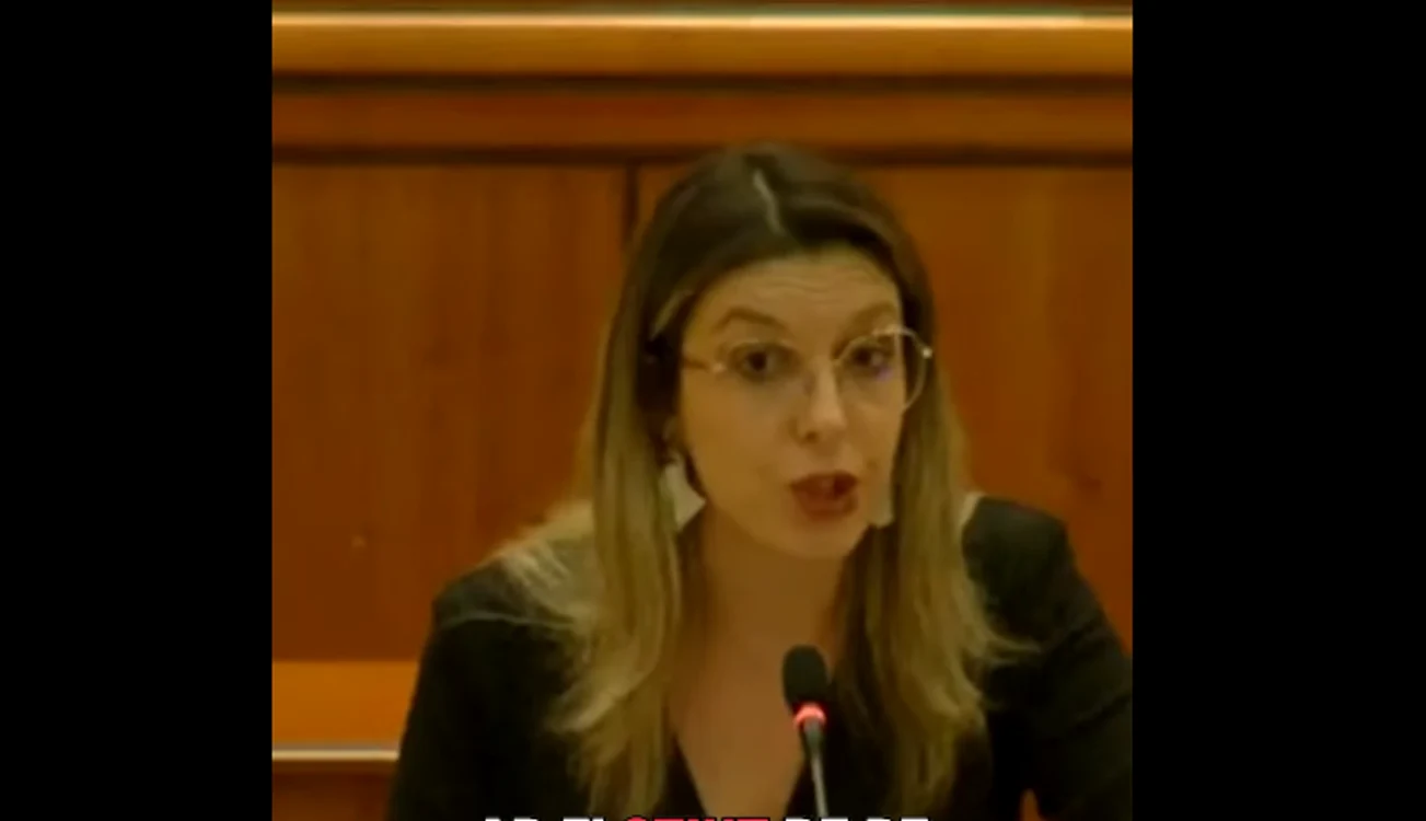 Diana Buzoianu, în Parlament. FOTO Captură video FB USR