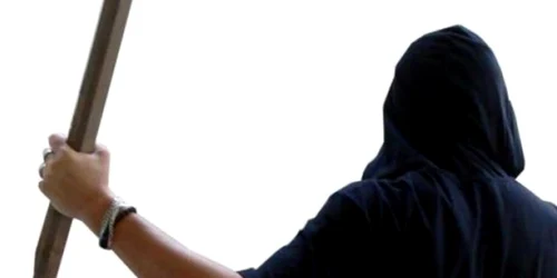 batut cu o bucata de lemn jpg