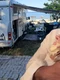 banner Cristi de la Haiducii png