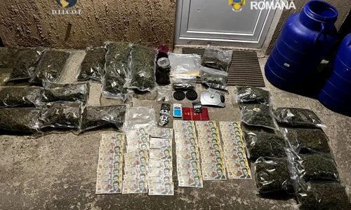 droguri si bani Prahova Poliţia Română jpg