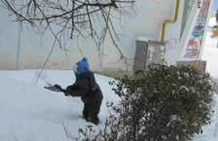 Puiul de om s-a apucat serios de treabă
