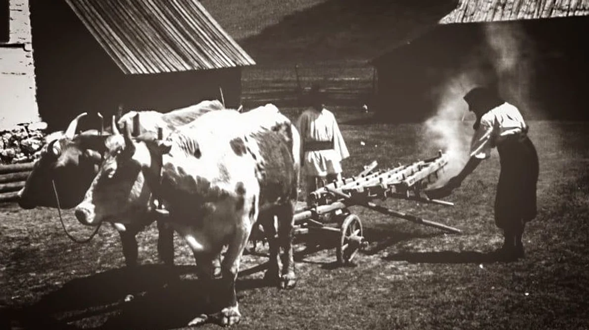 Sărbătoarea celor 40 de Sfinți, pornirea plugului și începutul anului agrar jpeg