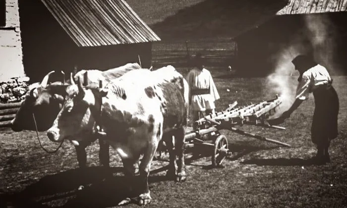 Sărbătoarea celor 40 de Sfinți, pornirea plugului și începutul anului agrar jpeg