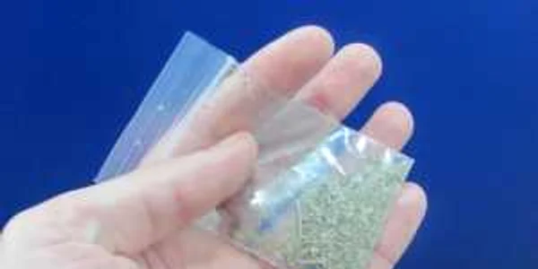 etnobotanice