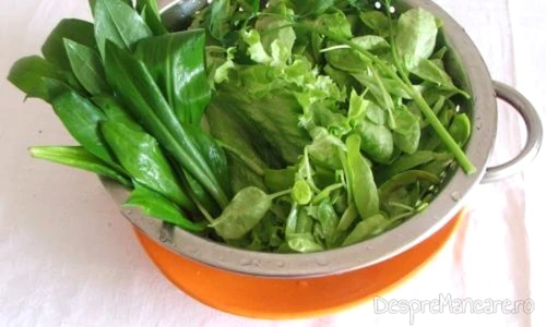 salata de leurda cu untisor jpeg