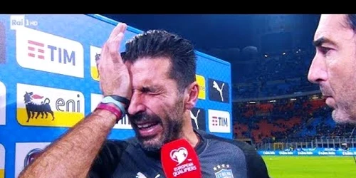 buffon