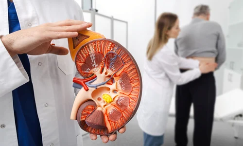 shutterstock 2605389133 jpg