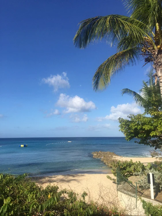 Fostul star al emisiunii Top Gear a publicat câteva imagini din Barbados, locul unde filma noua emisiune