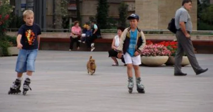 Piteşti: Centrul oraşului, loc de plimbare pentru micuţii pe patine