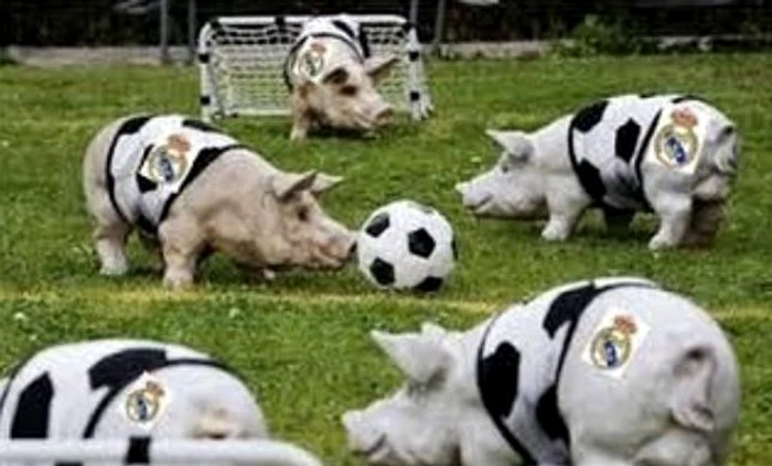 Aşa arată Real Madrid în viziunea "marelui" Hristo Stoichkovfoto: arhivă personală