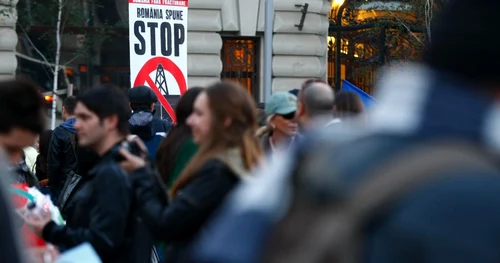 proteste rosia edi enea