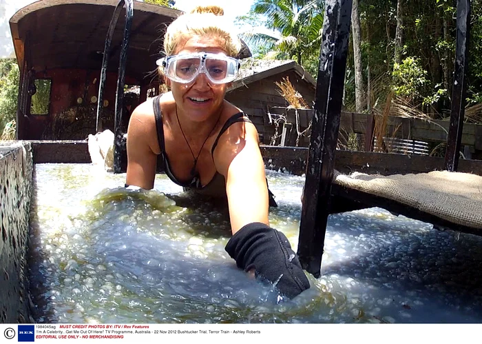 
    “Sunt celebru, scoate-mă de aici!” se numeşte noul reality show de la Pro TV  