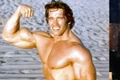 Arnold jpg