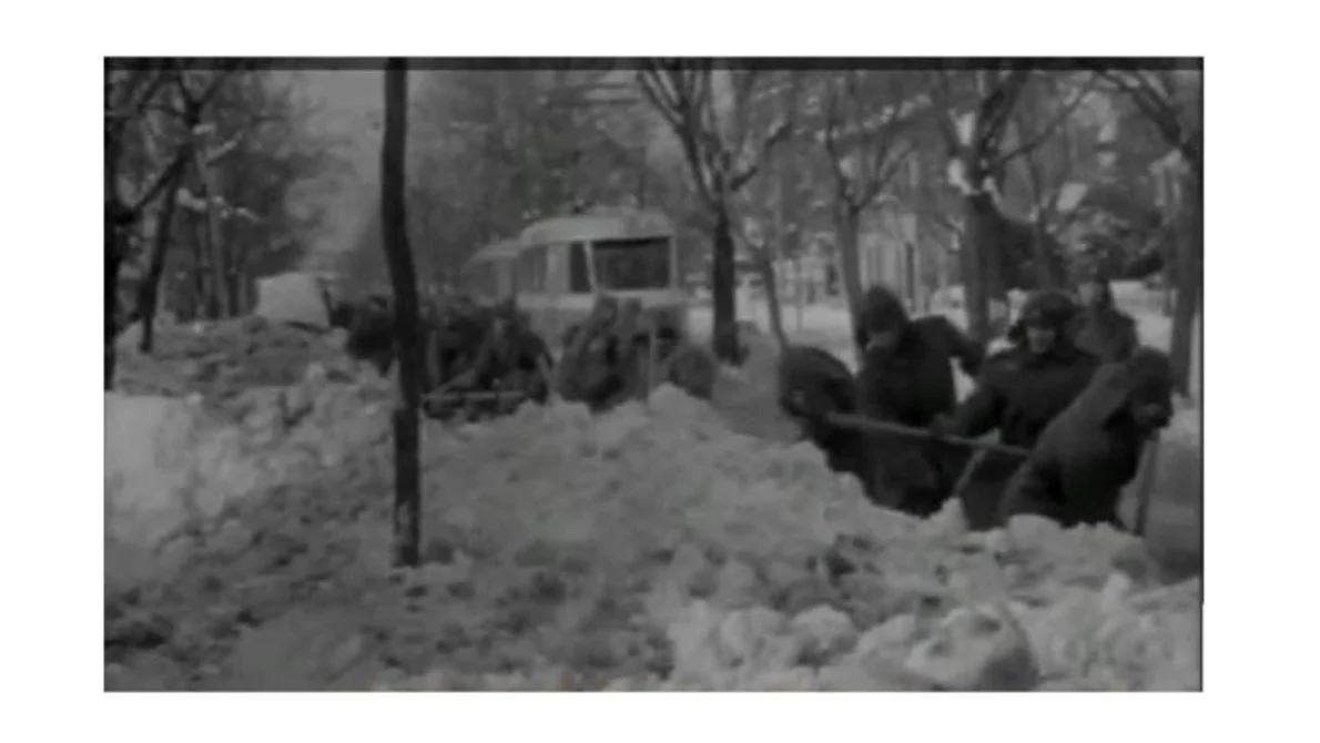 historia ro undefined jpeg