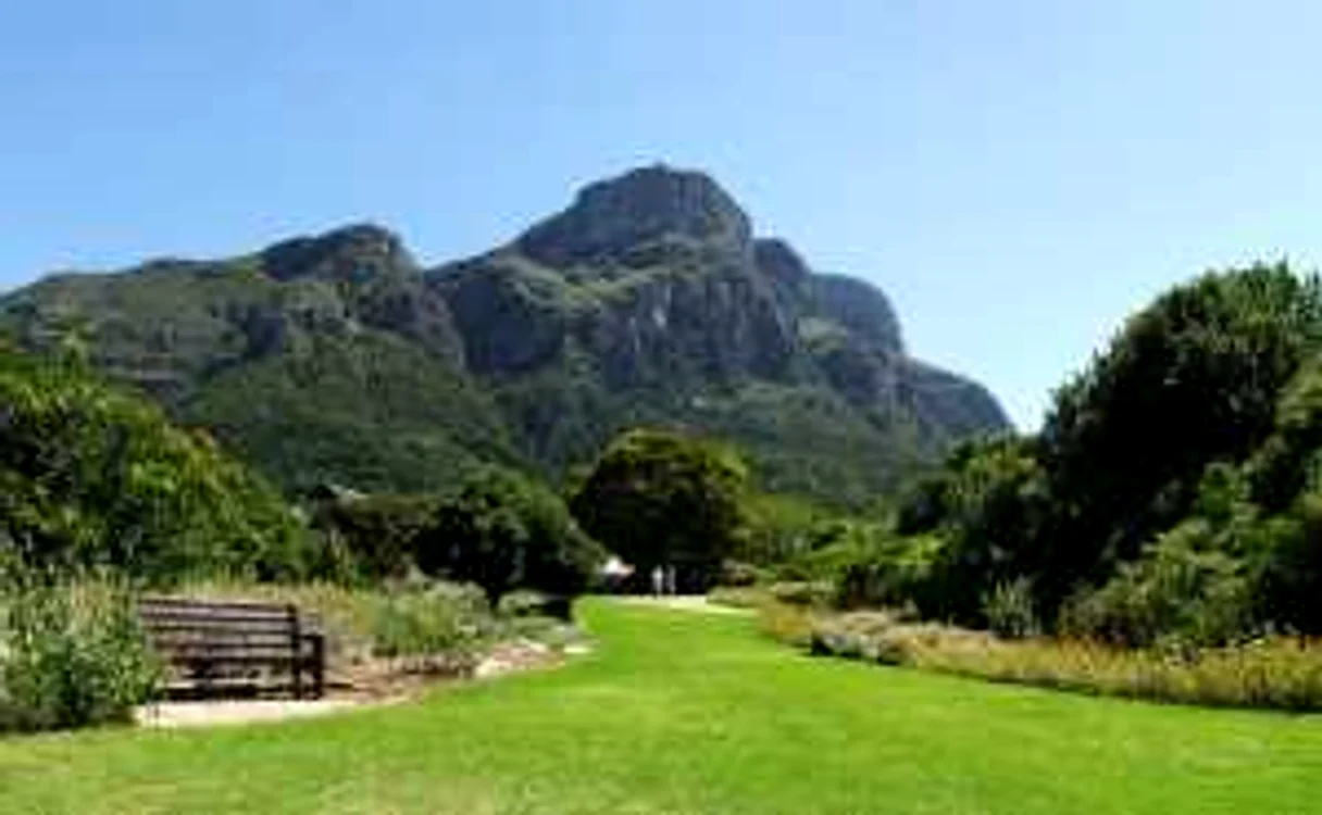 Grădina Botanică Naţională Kirstenbosch, Cape
Town, Africa de Sud
