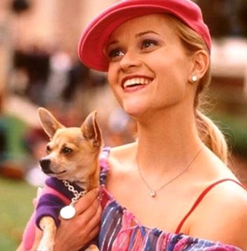 Reese Witherspoon (39 de ani), alături de micul Bruiser Woods/Moonie, în filmul „Blonda de la drept”