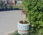 jardiniere