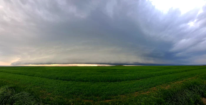 Nori surprinși în comuna Grădina, județul Constanța. Foto: Facebook/ Mirabela Dinu