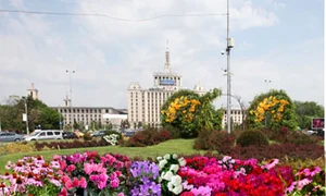 panselute capitala jpeg