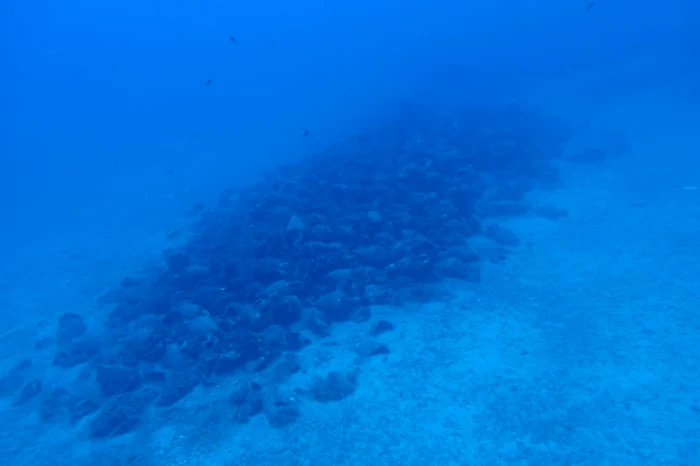 Epava descoperită în apropierea insulei Andros (© Υπουργείο Πολιτισμού)