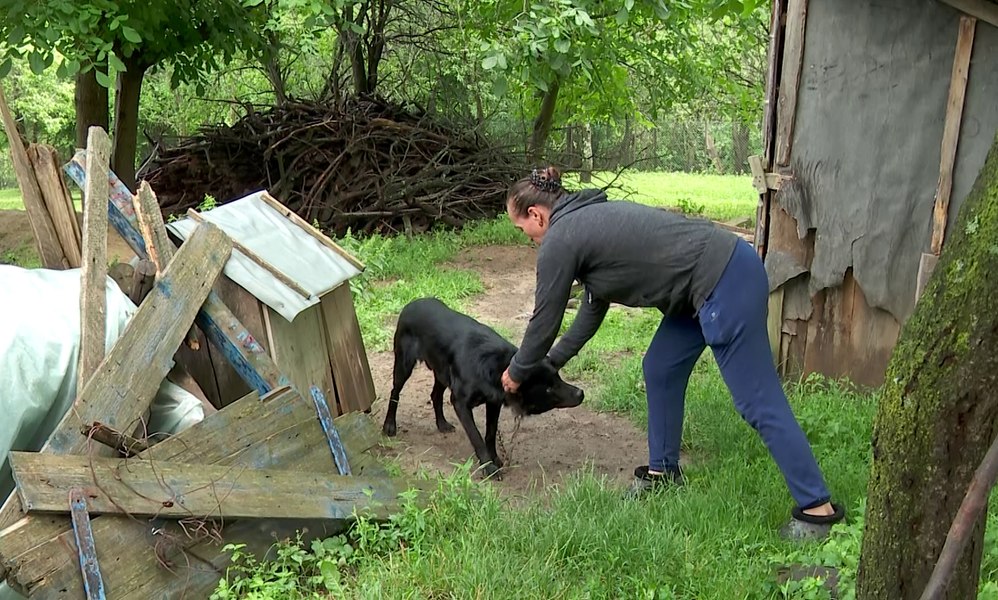 Curaj uluitor pentru o femeie din Buzău. A alungat un urs cu mâinile goale VIDEO