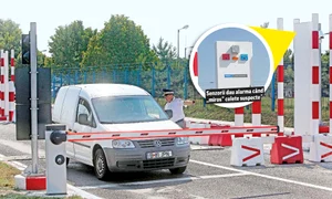 6 scut antinuclear jpeg