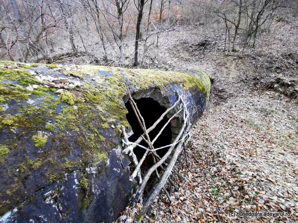 valea arsului foto daniel guta adevarul