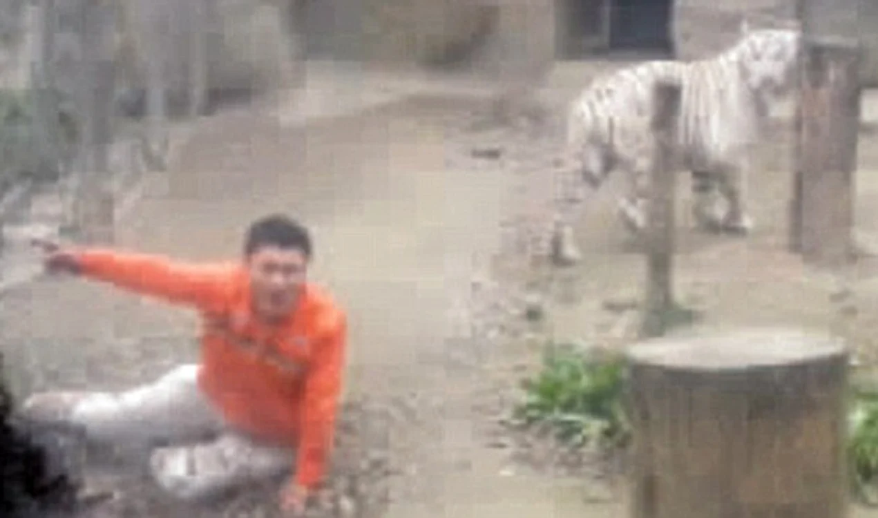Animalele nu l-au mâncat