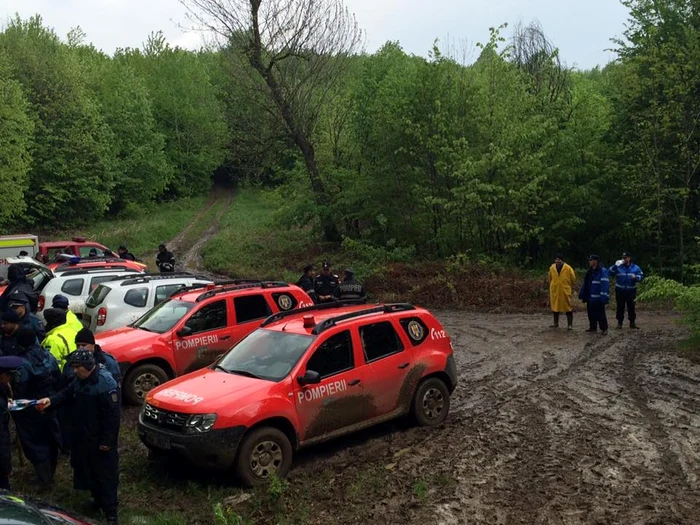 Echipele de căutare au bătut pădurea-n lung şi-n lat