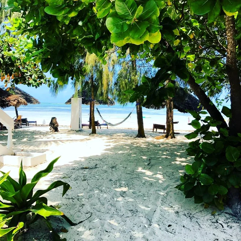 Ada Condeescu luna de miere Catalin Mitulescu Mauritius (1) jpeg
