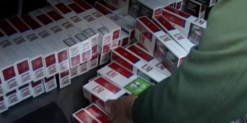 Polițiștii au descoperit sute de pachete cu țigări