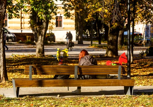Orasul Cluj Napoca, toamna  Foto Primăria Cluj Napoca Facebook (8) jpg