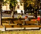 Orasul Cluj Napoca, toamna Foto Primăria Cluj Napoca Facebook (8) jpg
