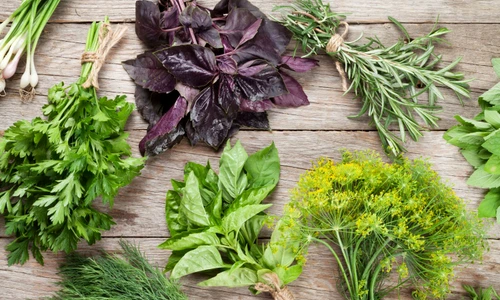43704969   fresh garden herbs on wooden table  top view jpeg