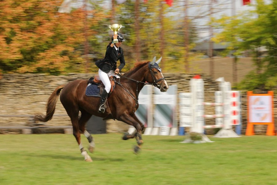 Karpatia Horse Show 2026 pe Domeniul Cantacuzino: tradiție ecvestră și renașterea unui simbol arhitectural
