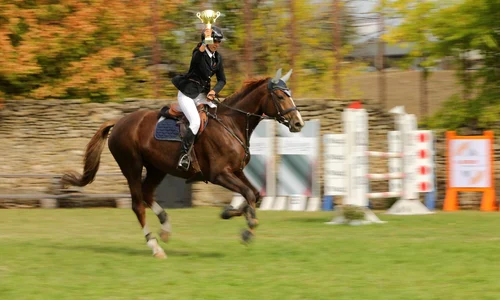 A zecea ediție a Karpatia Horse Show (foto: Ștefan Stoica și Diana Grigoriu)