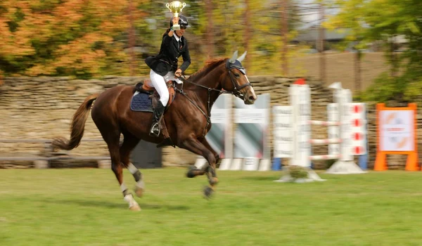 A zecea ediție a Karpatia Horse Show (foto: Ștefan Stoica și Diana Grigoriu)