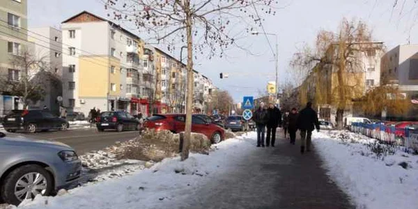 iarna olt