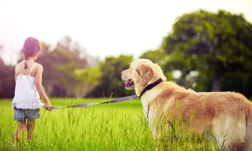 1 81201 original jpg jpeg