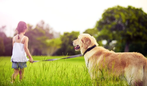 1 81201 original jpg jpeg