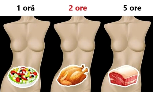 în cât timp se digeră mâncarea jpeg