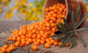 catina 64605702 xxl jpeg