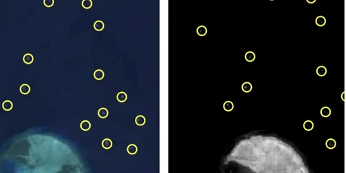 Distrugerile recifelor provocate de apele menajere deversate de vasele chinezeşti în Marea Chinei de Sud se văd din spaţiu FOTO Simularity via Insider