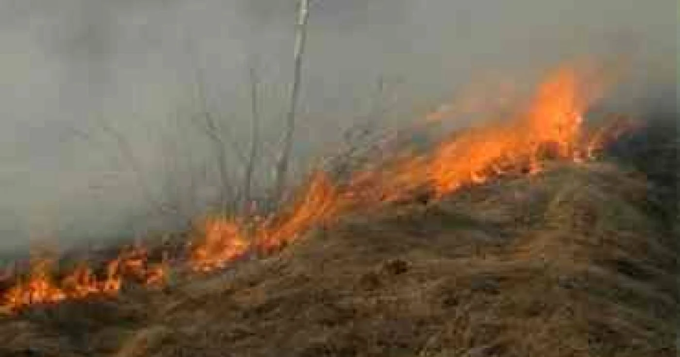 Satu Mare: Ars de viu într-un incendiu