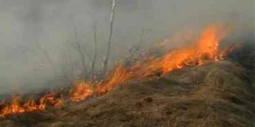 Satu Mare: Ars de viu într-un incendiu
