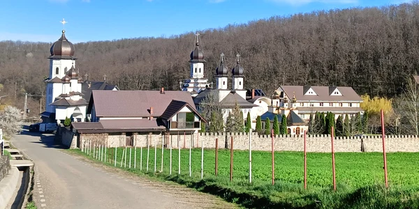 Mănăstirea Sfânta Treime de rit vechi de la Cucova FOTO Mircea Albu (1) jpg